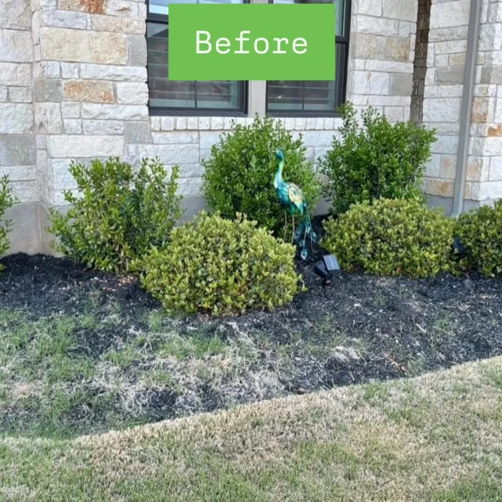 Reliable landscape installation with custom design across Cedar Park, TX - Mowing Legends