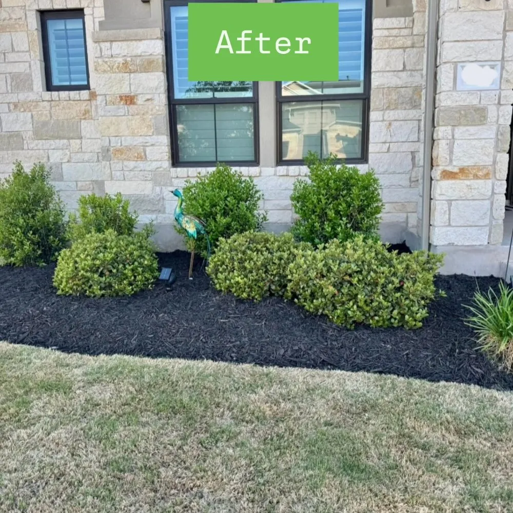 Custom lawn mowing service near you across Cedar Park, TX - Mowing Legends