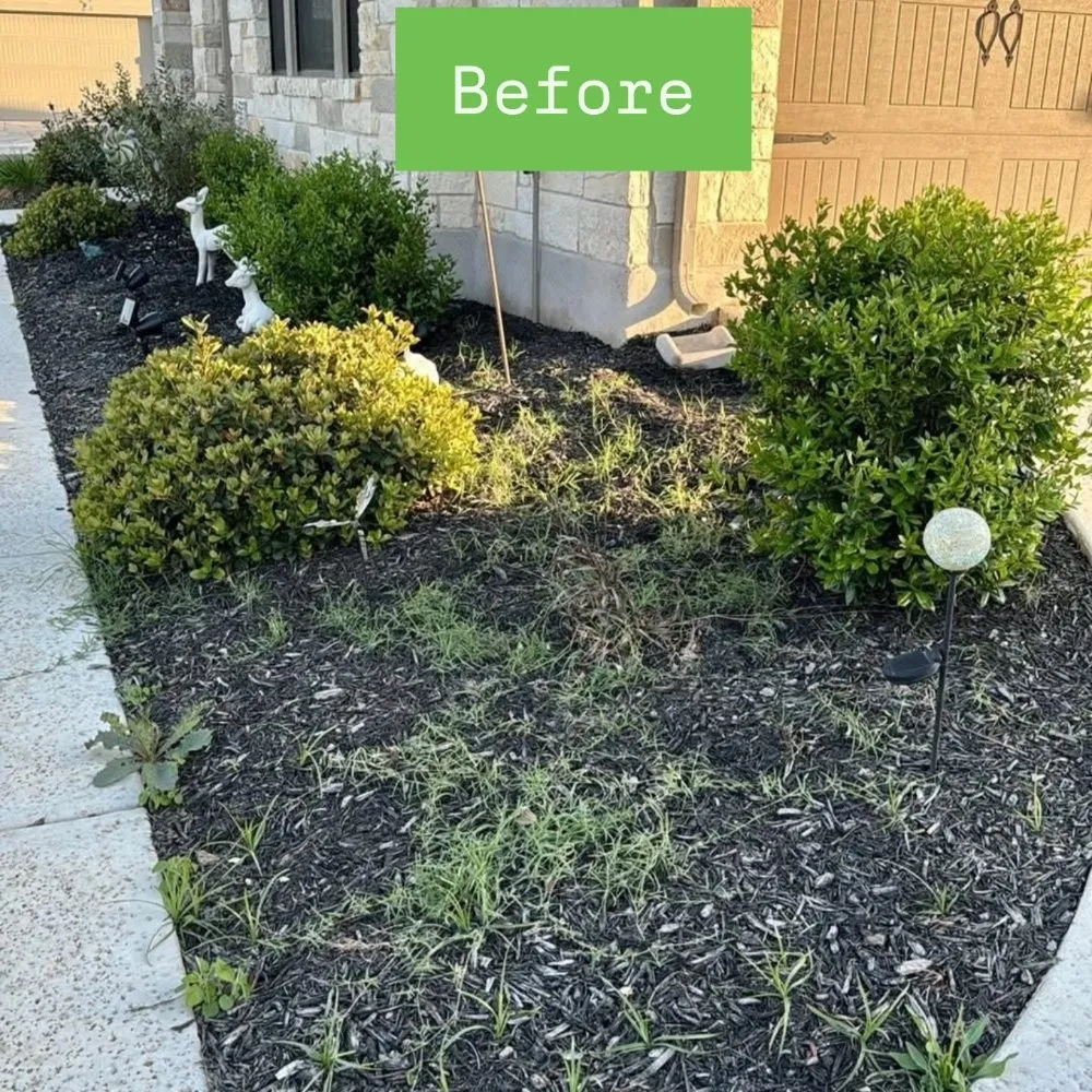 Custom yard cleanup service in Cedar Park, TX - Mowing Legends