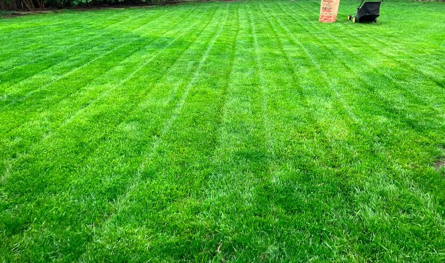 Custom lawn care service experts serving Saint Clair Shores, MI - Mowing Masters