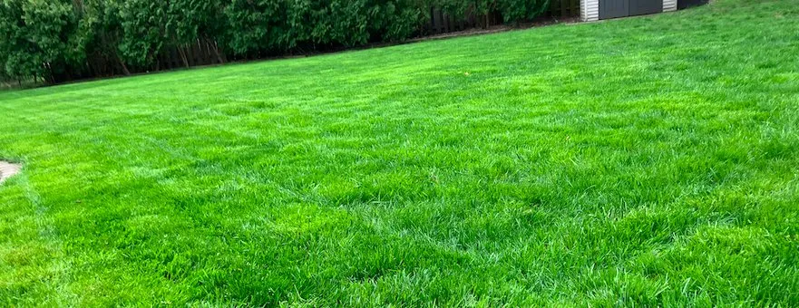 Expert landscaping services in Saint Clair Shores, MI by Mowing Masters
