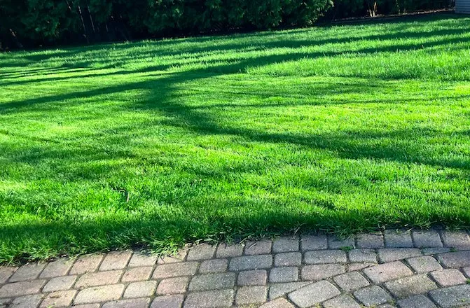 Affordable landscape installation in Saint Clair Shores, MI by Mowing Masters