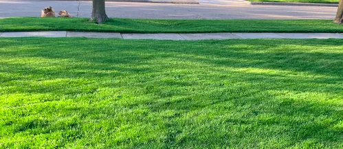 Reliable outdoor landscaping experts serving Saint Clair Shores, MI - Mowing Masters