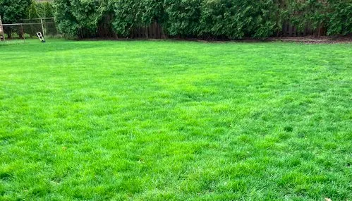 Trusted residential landscaping for beautiful yards in Saint Clair Shores, MI by Mowing Masters