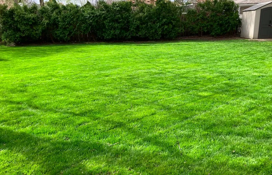 Reliable landscaping services for beautiful yards in Saint Clair Shores, MI by Mowing Masters