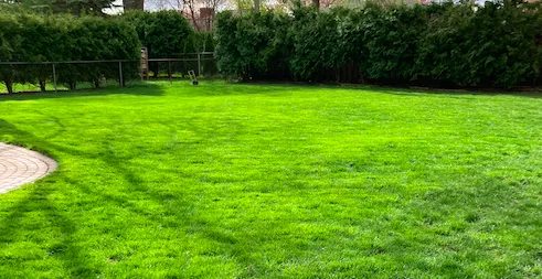 Top-rated garden landscaping experts serving Saint Clair Shores, MI - Mowing Masters