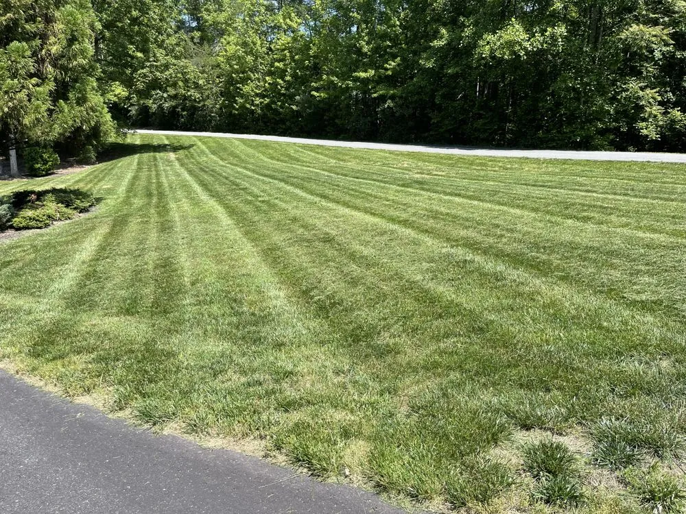 Top-rated yard maintenance in Nokesville, VA by Mowing Matters