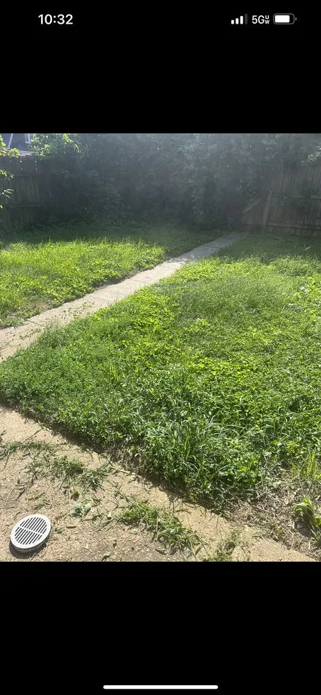 Trusted landscaping services for outdoor upgrades across Saint Louis, MO - Mowing Miles