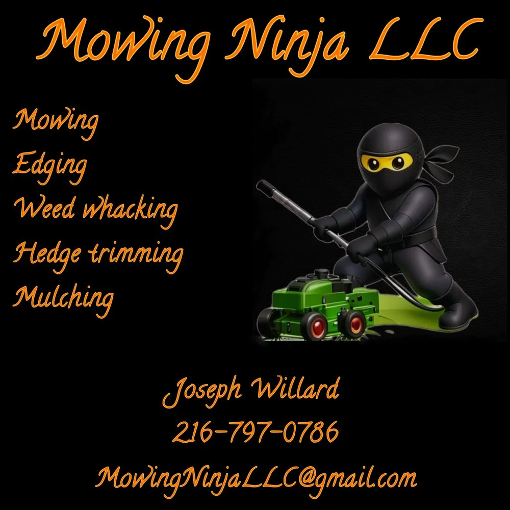 Expert yard cleanup service in Elyria, OH - Mowing Ninja