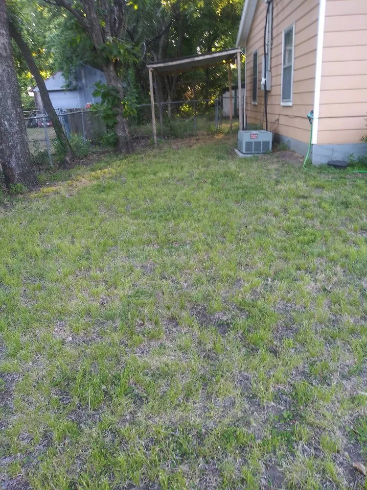 Trusted yard cleanup service in Frisco, TX by Mowing R Us