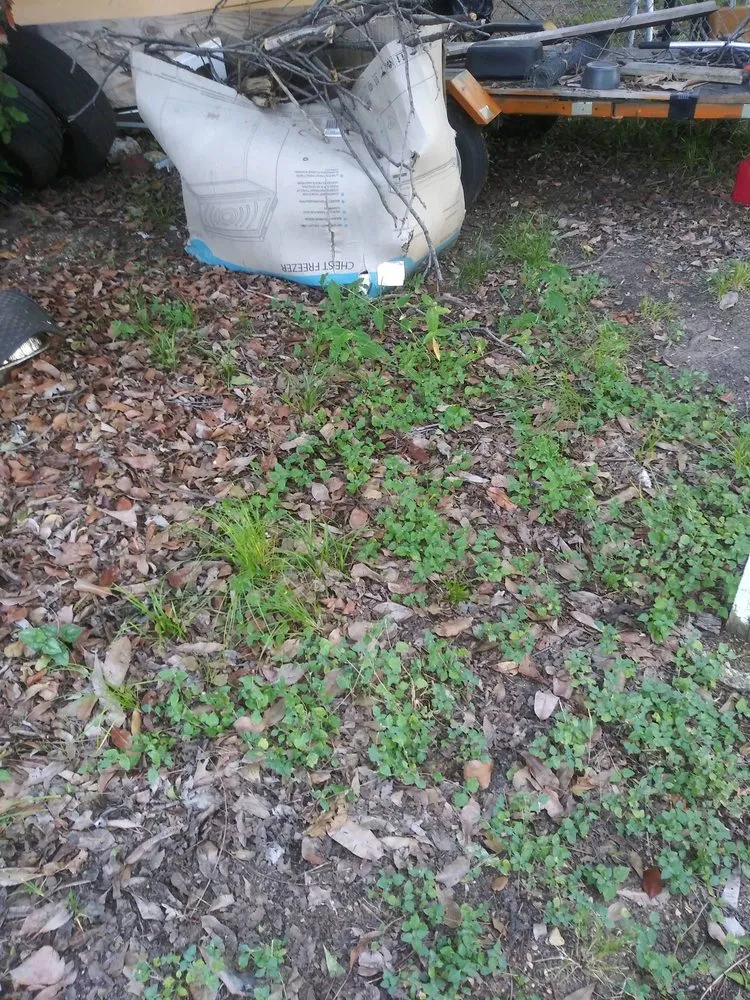 Trusted lawn mowing service for outdoor upgrades in Frisco, TX by Mowing R Us