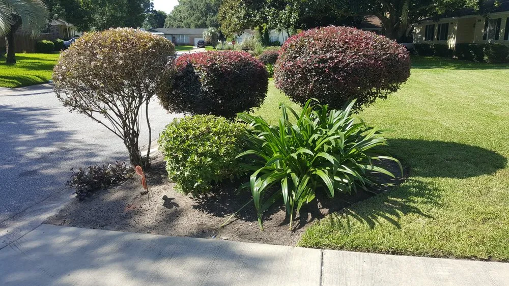 Custom outdoor landscaping for residential properties in North Chareston, SC by Mowing Right A Lawn