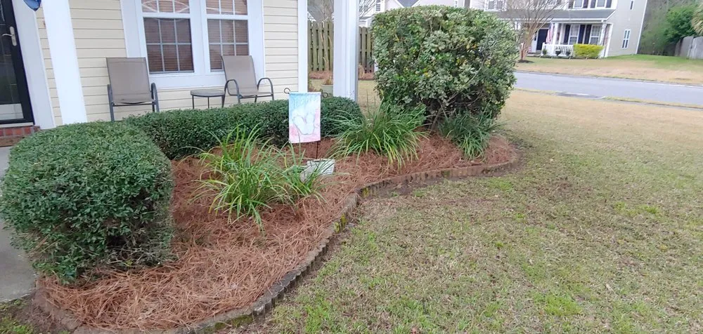 Trusted yard maintenance for residential properties across North Chareston, SC - Mowing Right A Lawn