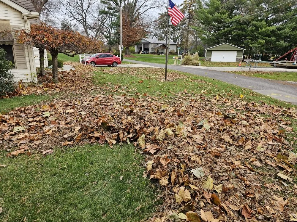 Affordable lawn care service for beautiful yards across Granger, IN - Mowing Solutions