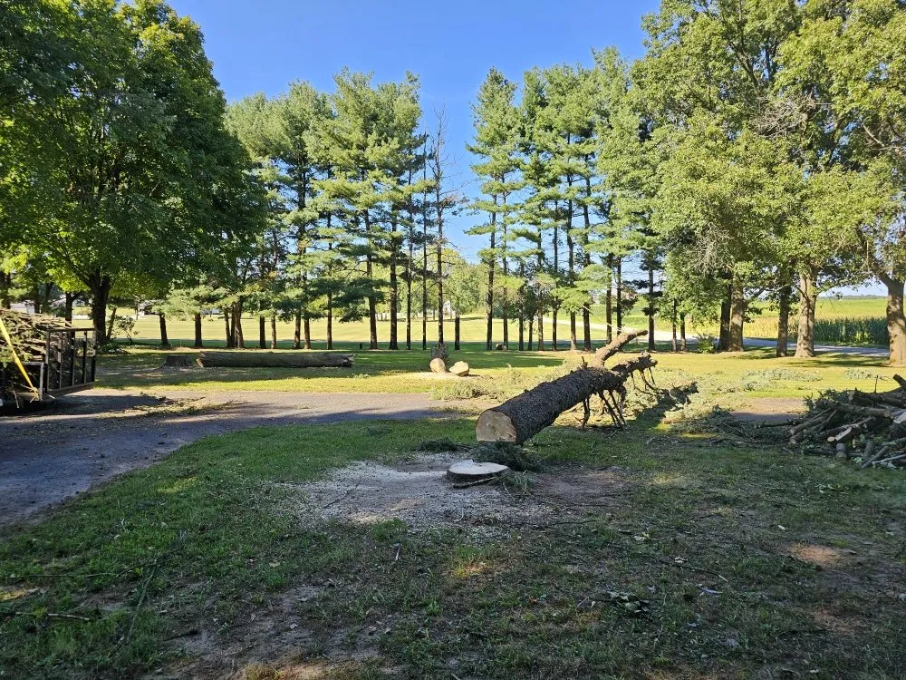 Trusted landscape installation for outdoor upgrades in Granger, IN by Mowing Solutions