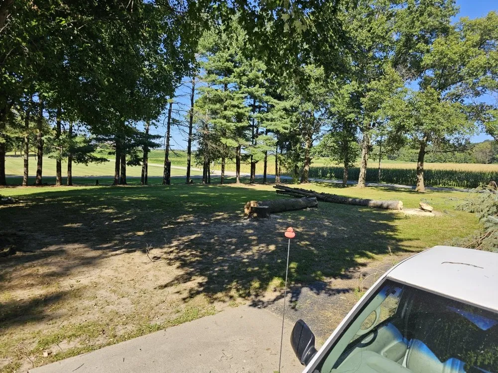 Affordable lawn mowing service in Granger, IN - Mowing Solutions