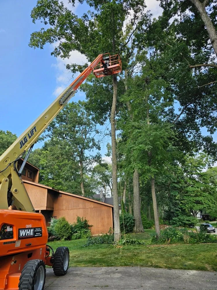 Custom outdoor landscaping experts serving Granger, IN - Mowing Solutions