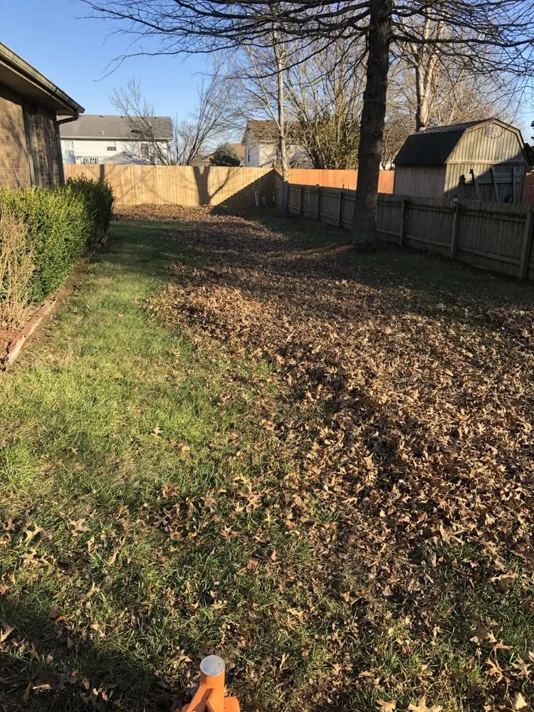 Local outdoor landscaping for year-round maintenance across Clever, MO - Mowing Today Lawncare Services