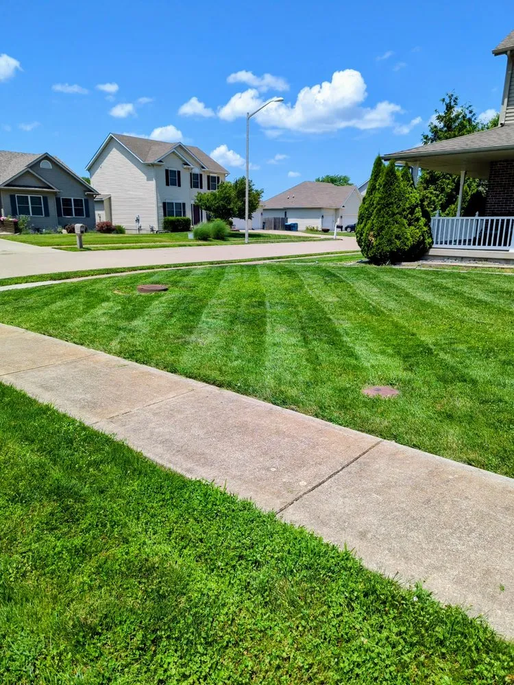 Trusted yard cleanup service for residential properties across Springfield, IL - MowingMiracles