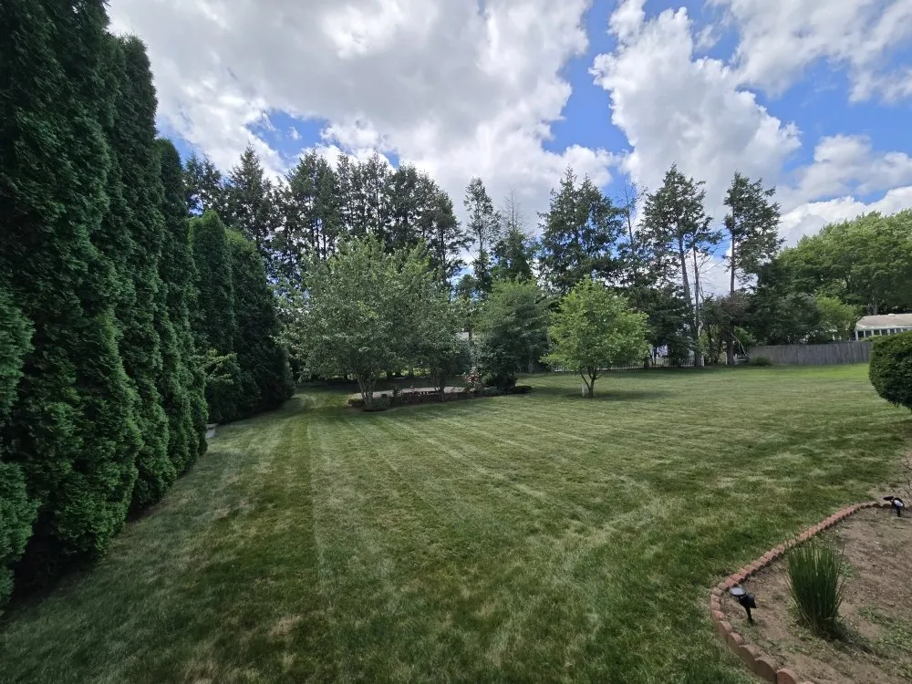 Professional yard cleanup service in Agawam, MA by Mowit Lawn Care