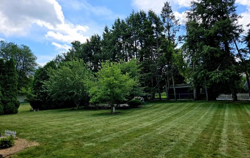 Trusted lawn mowing service with custom design in Agawam, MA by Mowit Lawn Care