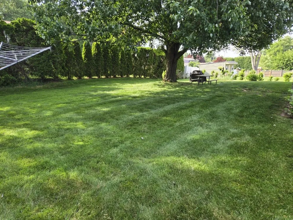 Top-rated outdoor landscaping with custom design in Agawam, MA by Mowit Lawn Care