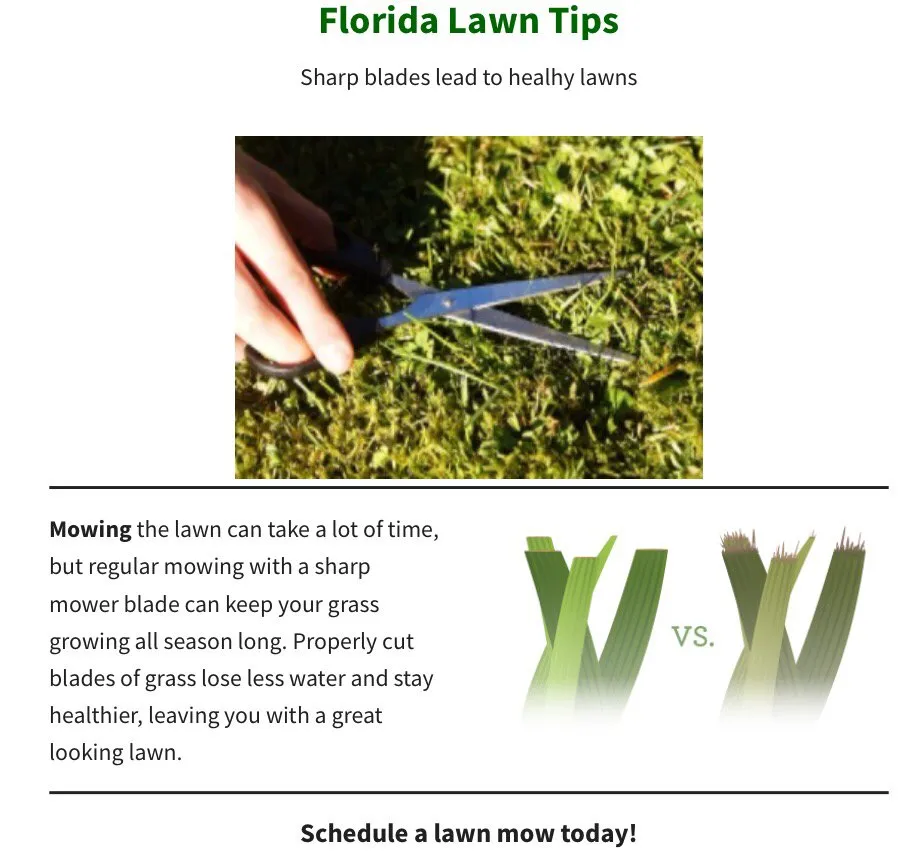 Reliable landscaping services near you across Jacksonville, FL - MowJax