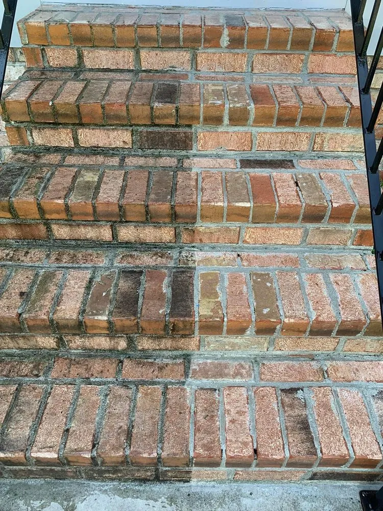 Reliable yard cleanup service for year-round maintenance across Slidell, LA - Mowjeaux Lawn & Garden