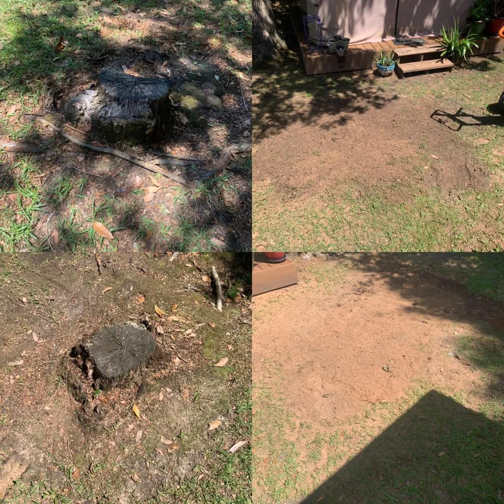 Trusted landscaping services for year-round maintenance across Slidell, LA - Mowjeaux Lawn & Garden