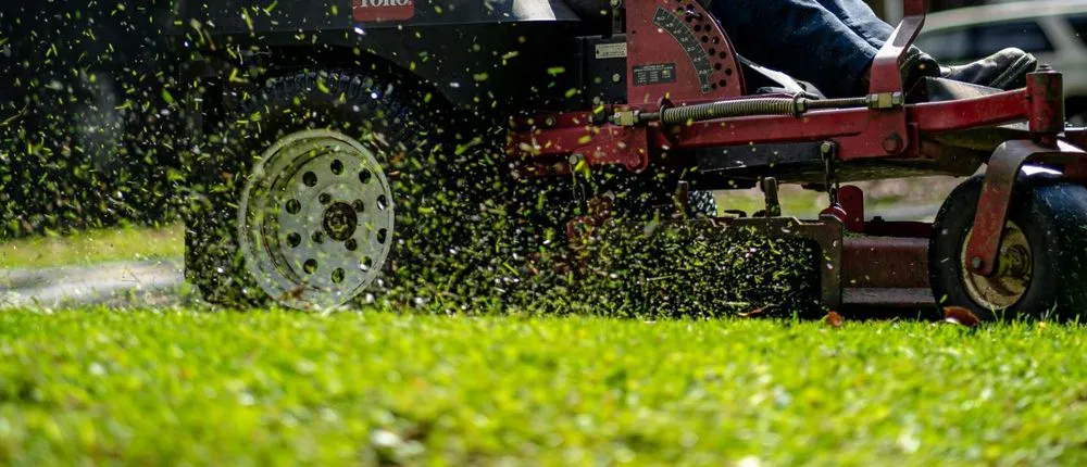 Custom residential landscaping experts serving Fort Worth, TX - MowJo Lawn Care