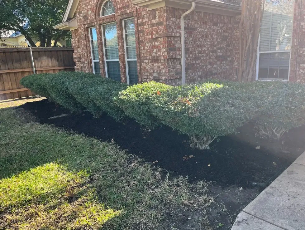 Professional garden landscaping for beautiful yards in Fort Worth, TX by MowJo Lawn Care