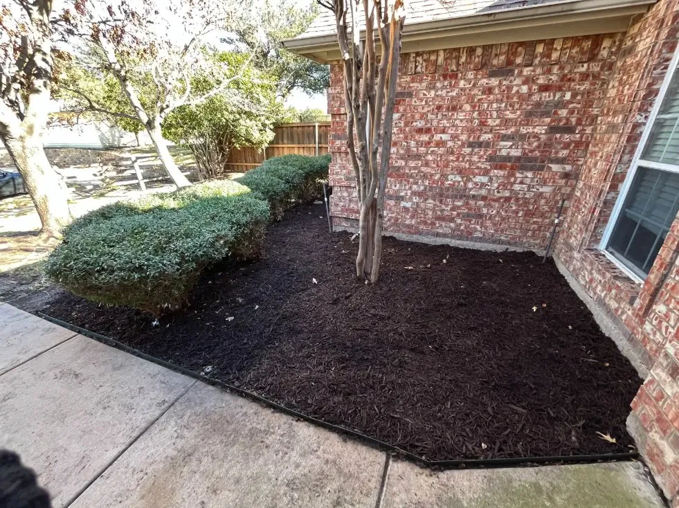 Top-rated residential landscaping in Fort Worth, TX - MowJo Lawn Care
