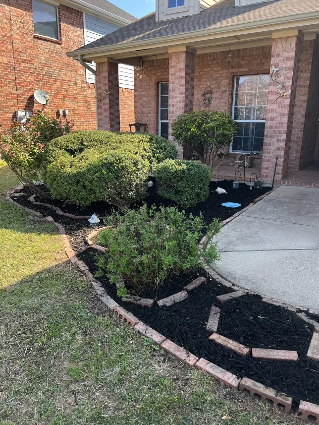 Reliable yard cleanup service for residential properties across Fort Worth, TX - MowJo Lawn Care