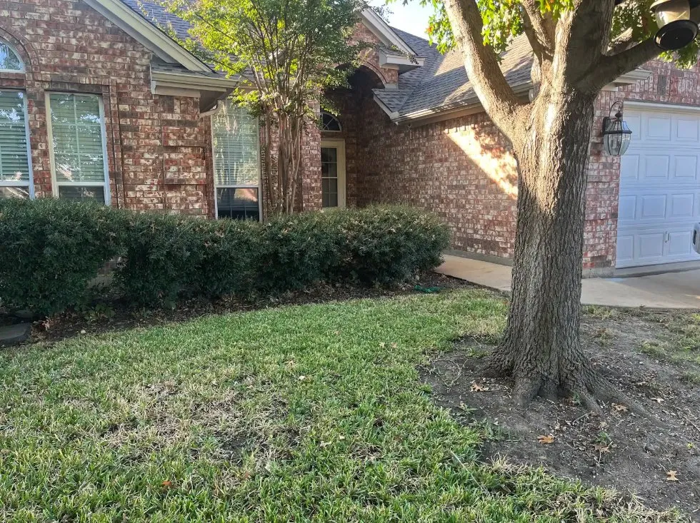 Reliable outdoor landscaping in Fort Worth, TX by MowJo Lawn Care