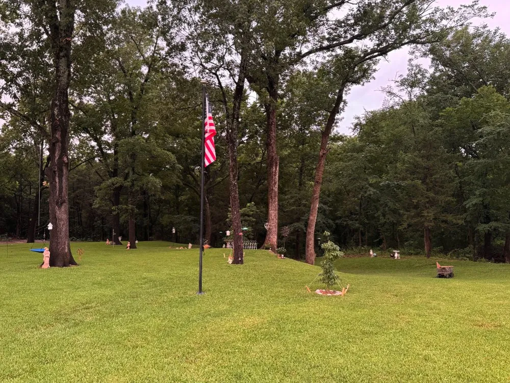 Custom yard cleanup service for year-round maintenance across Fort Worth, TX - MowJo Lawn Care