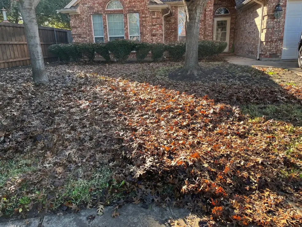 Professional landscape installation experts serving Fort Worth, TX - MowJo Lawn Care