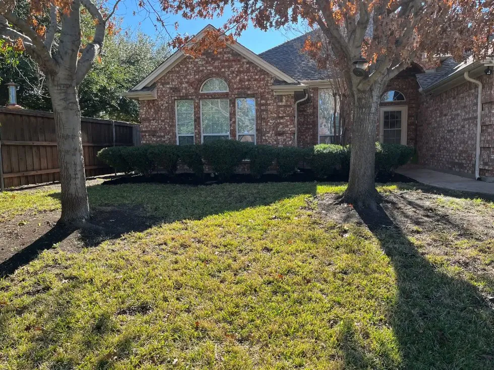 Top-rated yard cleanup service experts serving Fort Worth, TX - MowJo Lawn Care