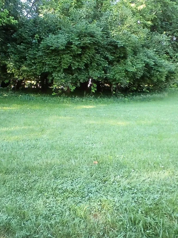 Expert landscape installation in Wilmington, OH - Mowjo Lawncare