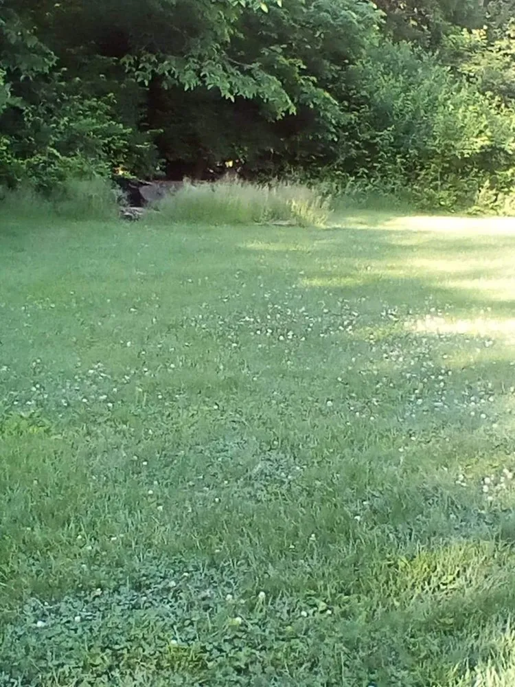 Custom lawn care service for beautiful yards in Wilmington, OH by Mowjo Lawncare