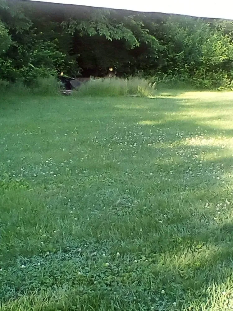 Trusted landscape design in Wilmington, OH - Mowjo Lawncare