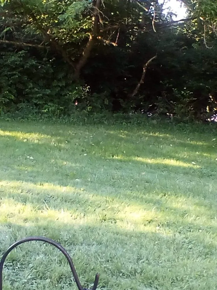 Affordable landscaping services for year-round maintenance in Wilmington, OH by Mowjo Lawncare