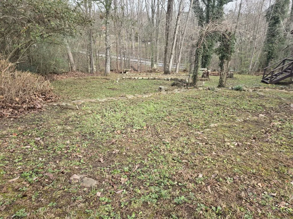 Trusted yard cleanup service in Menlo, GA by Mowjo Lawn's & Pressure Washing