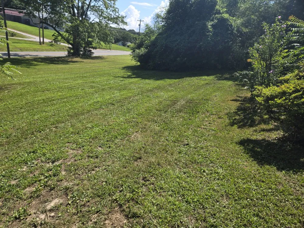 Reliable yard cleanup service in Menlo, GA by Mowjo Lawn's & Pressure Washing