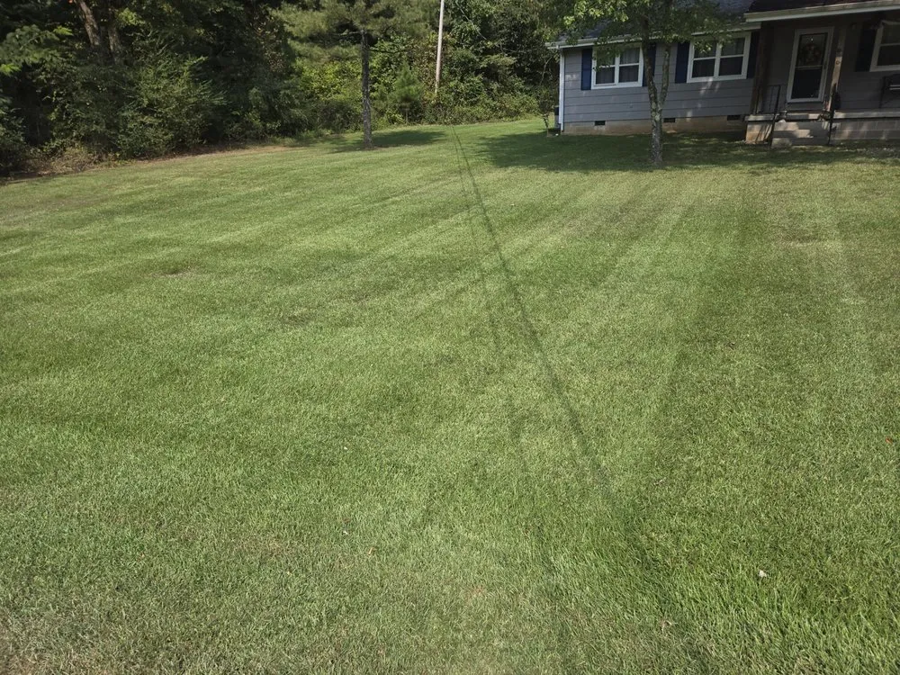 Expert yard maintenance experts serving Menlo, GA - Mowjo Lawn's & Pressure Washing