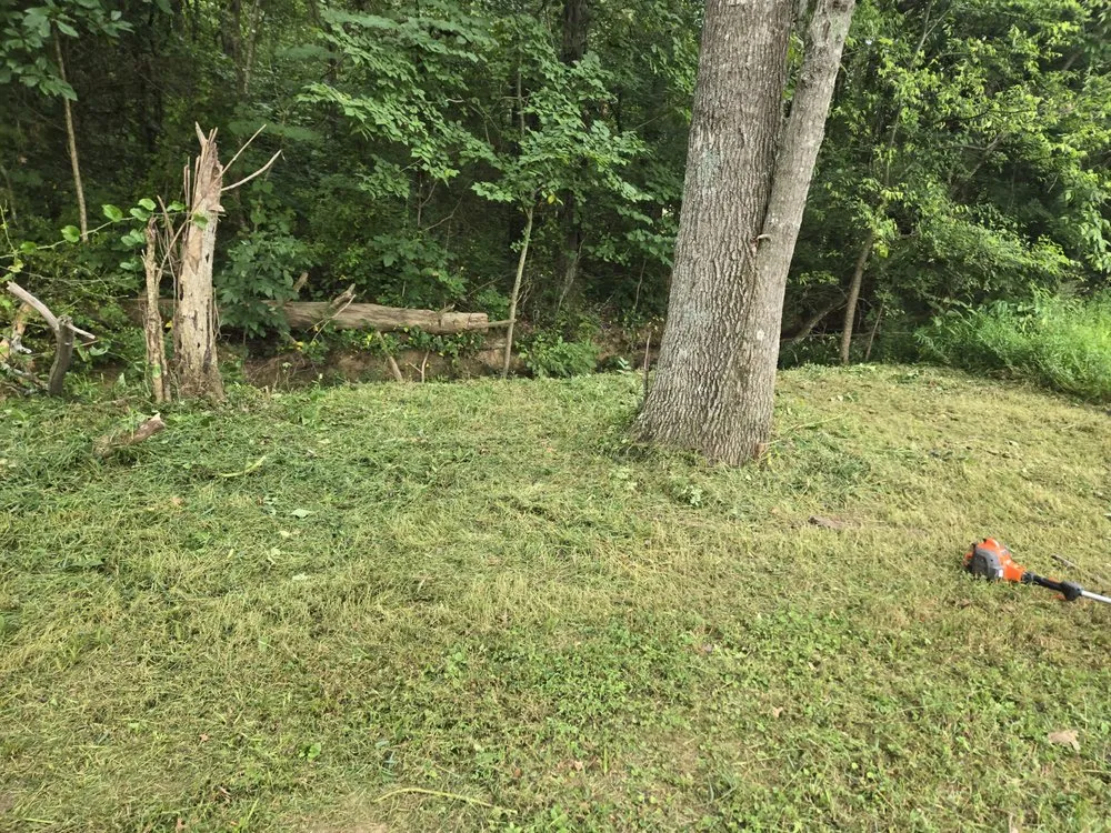Local yard maintenance experts serving Menlo, GA - Mowjo Lawn's & Pressure Washing