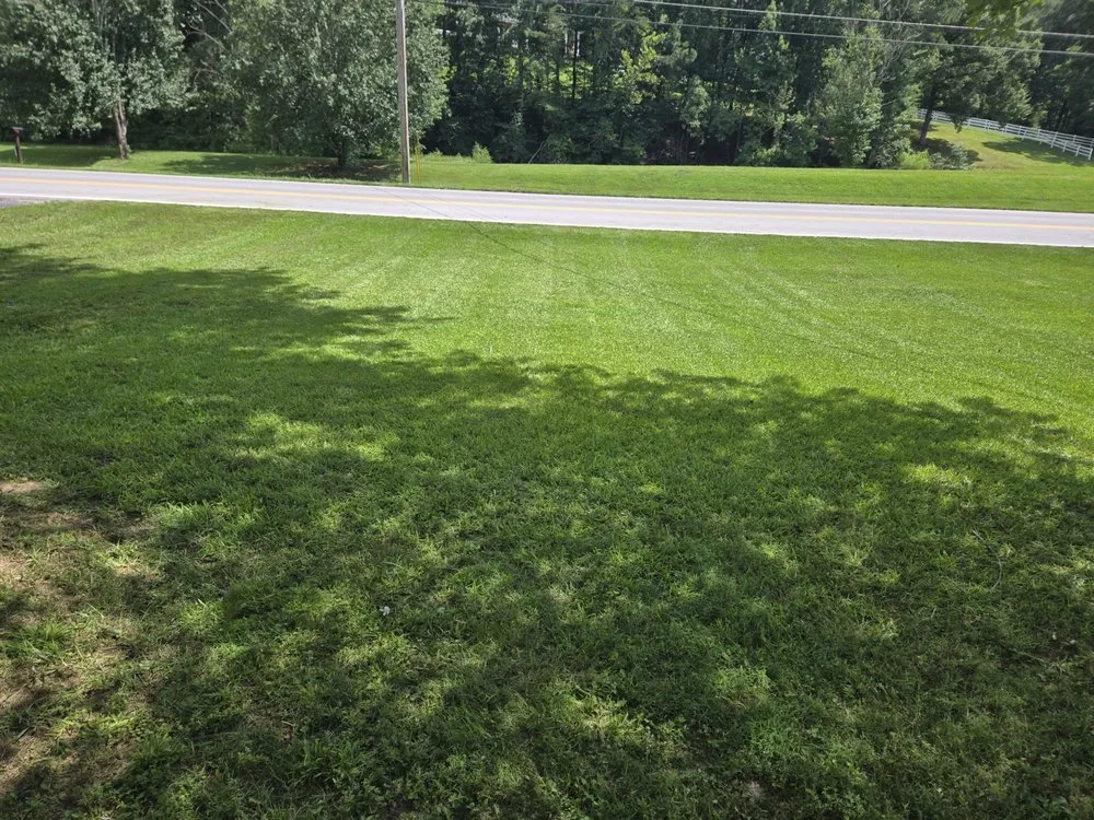 Expert landscape installation in Menlo, GA by Mowjo Lawn's & Pressure Washing