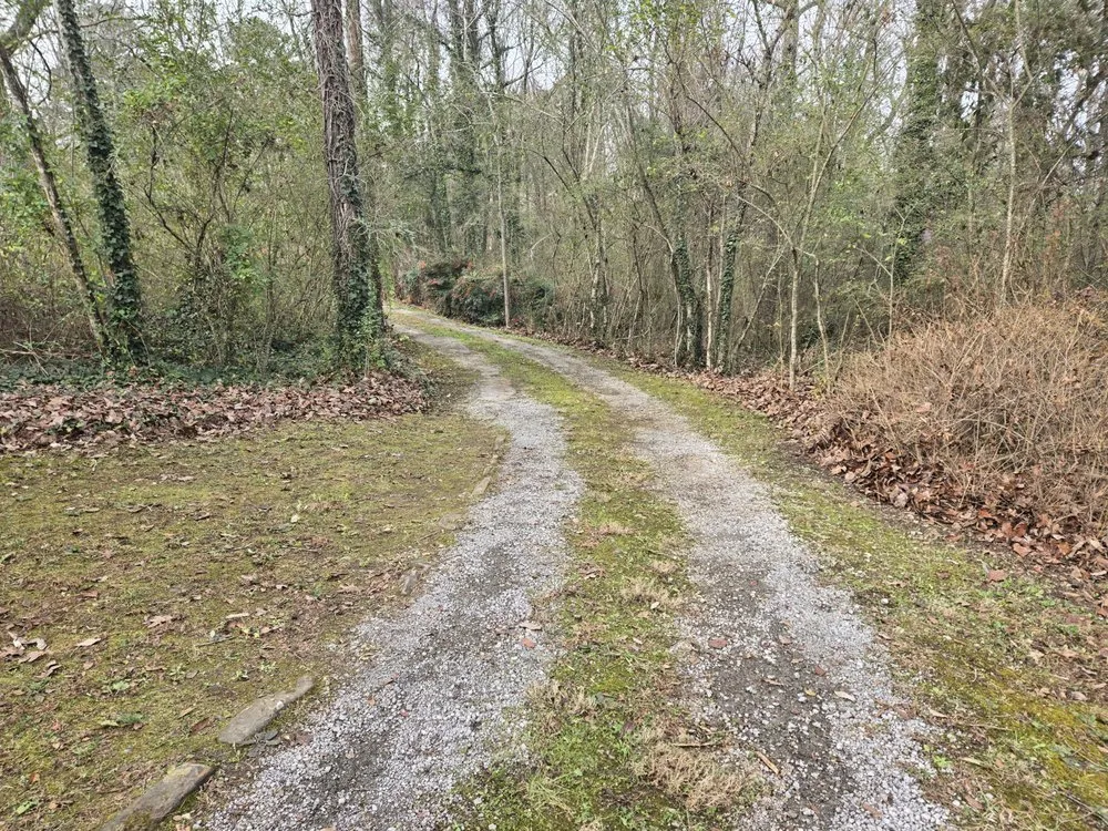 Professional yard maintenance in Menlo, GA - Mowjo Lawn's & Pressure Washing
