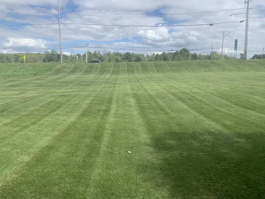 MowJoe Lawn & Landscape