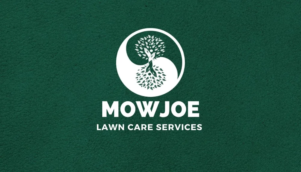 Affordable landscaping services for year-round maintenance in Terrell Hills, TX by Mowjoe