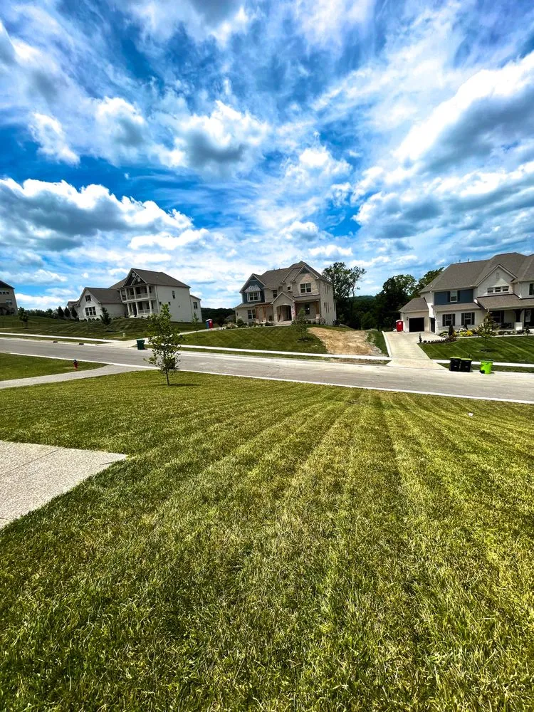 Expert yard cleanup service in Brentwood, TN - MowMen Lawn Care